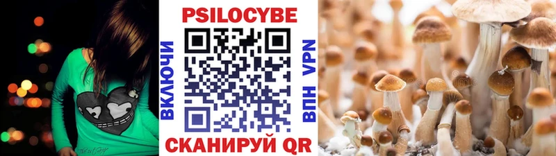 Псилоцибиновые грибы ЛСД  купить наркотики цена  Серафимович 